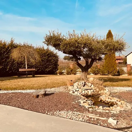 Certe Notti Langhe Couette-café Salmore